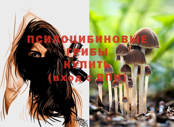 винт Верхний Тагил