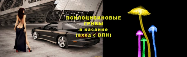 гидра Приозерск