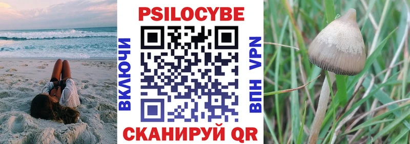 где можно купить   Биробиджан  Псилоцибиновые грибы Psilocybine cubensis 